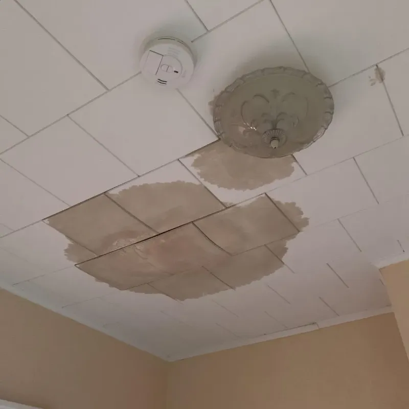 Ceiling Water Damage Repair in Green Island, NY